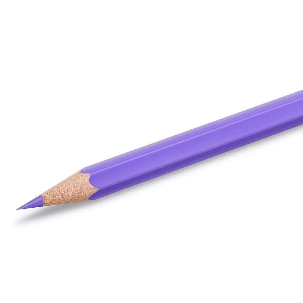 Lápiz Color 12 Unidades Tropicolors Bic