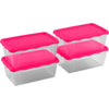Fiambrera Practic Rectangular 1 L Set 4