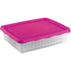 Descongelador Practic Rectangular con Rejilla y Tapa 2 L