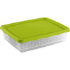 Descongelador Practic Rectangular con Rejilla y Tapa 2 L