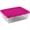Fiambrera Practic Rectangular 2,5 L