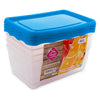 Fiambrera Practic Rectangular 1 L Set 4