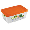 Fiambrera Practic IML Rectangular Micro 0,5 L