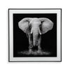 Cuadro Cristal Elefante