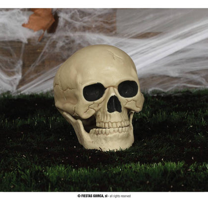 Calavera 20cm