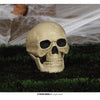 Calavera 20cm