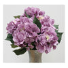 Set 12 Hortensias Color Malva
