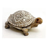 Tortuga Tono Marrón Natural Espejos