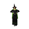 Disfraz Bruja Verde Adulto