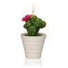 Vela Cactus con Maceta